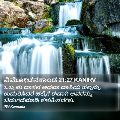 ವಿಮೋಚನಕಾಂಡ 21:27 KANIRV Bible Verse Image
