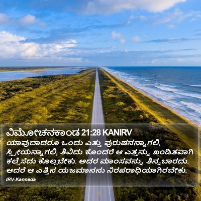 ವಿಮೋಚನಕಾಂಡ 21:28 KANIRV Bible Verse Image