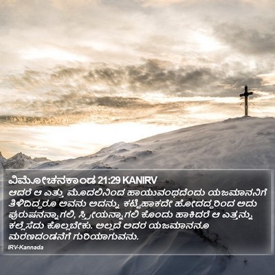 ವಿಮೋಚನಕಾಂಡ 21:29 KANIRV Bible Verse Image