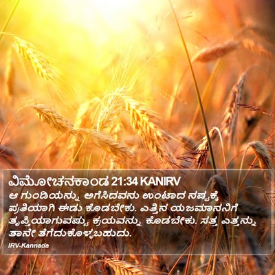 ವಿಮೋಚನಕಾಂಡ 21:34 KANIRV Bible Verse Image