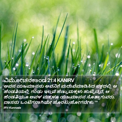 ವಿಮೋಚನಕಾಂಡ 21:4 KANIRV Bible Verse Image