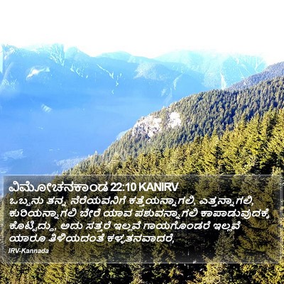 ವಿಮೋಚನಕಾಂಡ 22:10 KANIRV Bible Verse Image