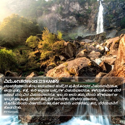 ವಿಮೋಚನಕಾಂಡ 22:9 KANIRV Bible Verse Image