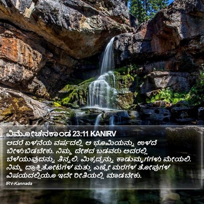 ವಿಮೋಚನಕಾಂಡ 23:11 KANIRV Bible Verse Image