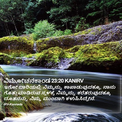 ವಿಮೋಚನಕಾಂಡ 23:20 KANIRV Bible Verse Image