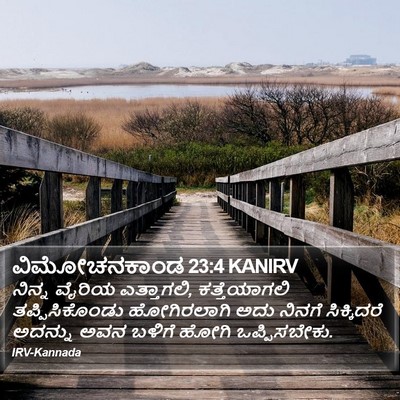 ವಿಮೋಚನಕಾಂಡ 23:4 KANIRV Bible Verse Image