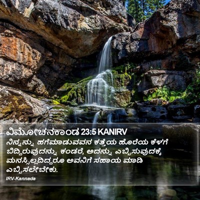 ವಿಮೋಚನಕಾಂಡ 23:5 KANIRV Bible Verse Image