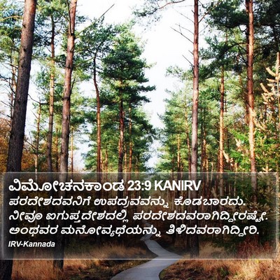 ವಿಮೋಚನಕಾಂಡ 23:9 KANIRV Bible Verse Image