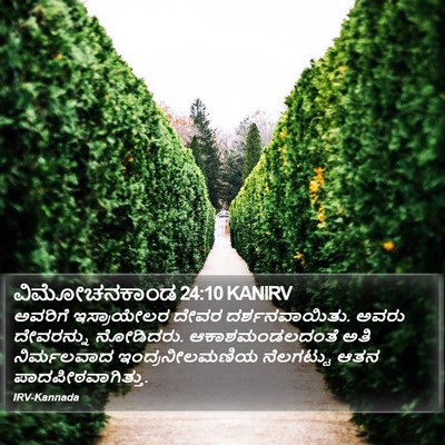 ವಿಮೋಚನಕಾಂಡ 24:10 KANIRV Bible Verse Image