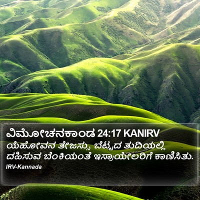 ವಿಮೋಚನಕಾಂಡ 24:17 KANIRV Bible Verse Image
