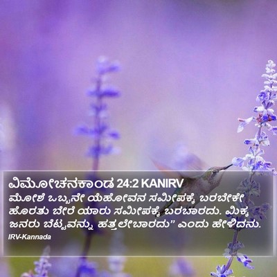 ವಿಮೋಚನಕಾಂಡ 24:2 KANIRV Bible Verse Image