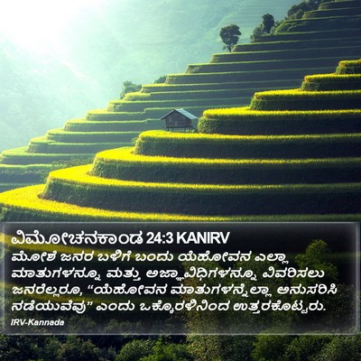 ವಿಮೋಚನಕಾಂಡ 24:3 KANIRV Bible Verse Image