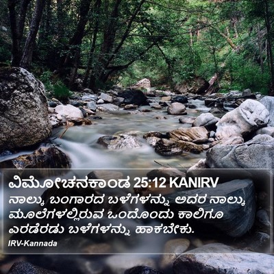 ವಿಮೋಚನಕಾಂಡ 25:12 KANIRV Bible Verse Image