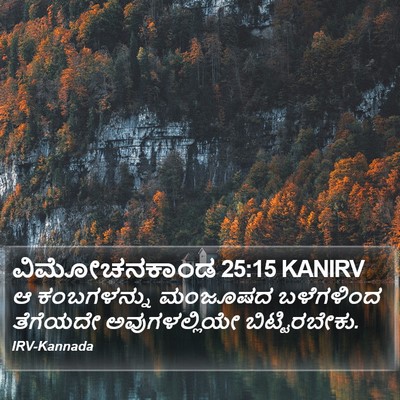 ವಿಮೋಚನಕಾಂಡ 25:15 KANIRV Bible Verse Image