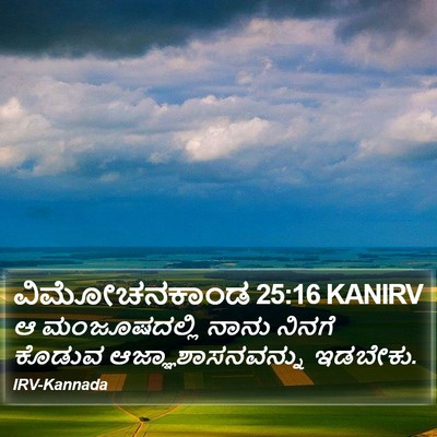 ವಿಮೋಚನಕಾಂಡ 25:16 KANIRV Bible Verse Image