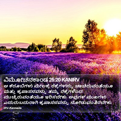 ವಿಮೋಚನಕಾಂಡ 25:20 KANIRV Bible Verse Image