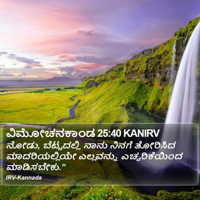 ವಿಮೋಚನಕಾಂಡ 25:40 KANIRV Bible Verse Image