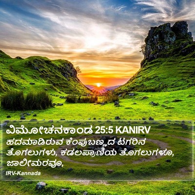 ವಿಮೋಚನಕಾಂಡ 25:5 KANIRV Bible Verse Image