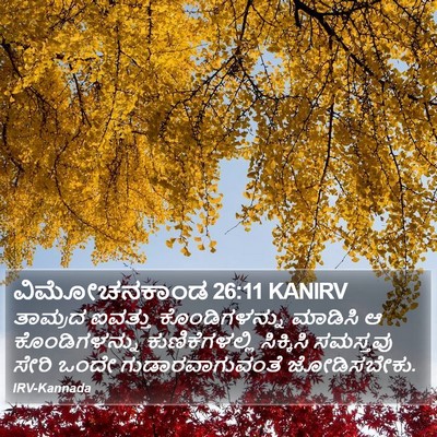 ವಿಮೋಚನಕಾಂಡ 26:11 KANIRV Bible Verse Image