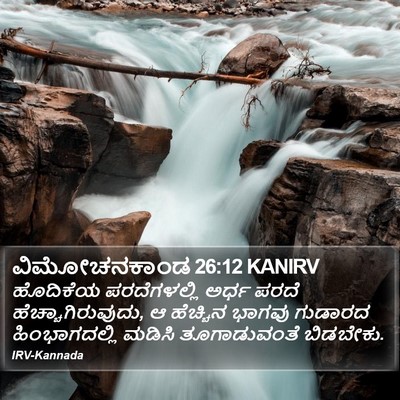 ವಿಮೋಚನಕಾಂಡ 26:12 KANIRV Bible Verse Image