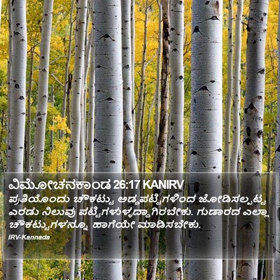 ವಿಮೋಚನಕಾಂಡ 26:17 KANIRV Bible Verse Image