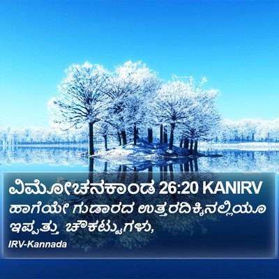 ವಿಮೋಚನಕಾಂಡ 26:20 KANIRV Bible Verse Image