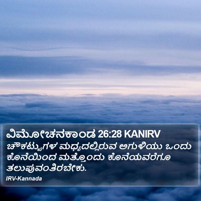ವಿಮೋಚನಕಾಂಡ 26:28 KANIRV Bible Verse Image