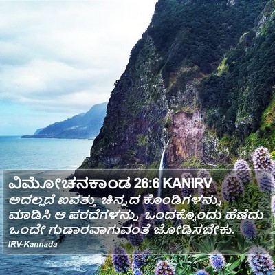 ವಿಮೋಚನಕಾಂಡ 26:6 KANIRV Bible Verse Image