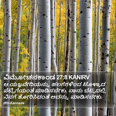 ವಿಮೋಚನಕಾಂಡ 27:8 KANIRV Bible Verse Image