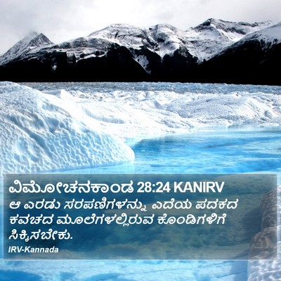 ವಿಮೋಚನಕಾಂಡ 28:24 KANIRV Bible Verse Image