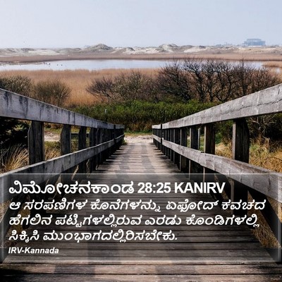 ವಿಮೋಚನಕಾಂಡ 28:25 KANIRV Bible Verse Image