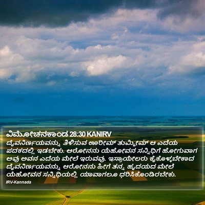 ವಿಮೋಚನಕಾಂಡ 28:30 KANIRV Bible Verse Image
