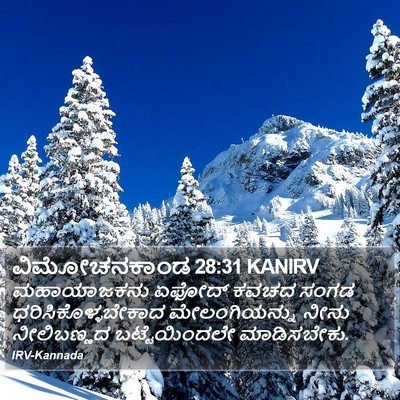 ವಿಮೋಚನಕಾಂಡ 28:31 KANIRV Bible Verse Image