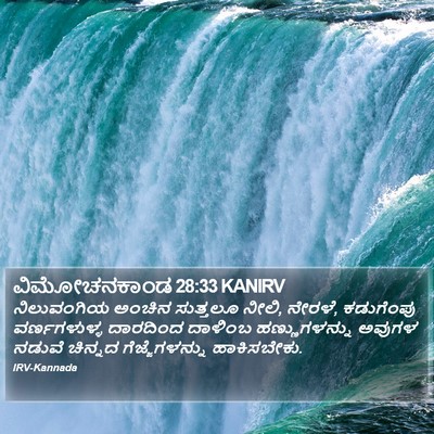 ವಿಮೋಚನಕಾಂಡ 28:33 KANIRV Bible Verse Image