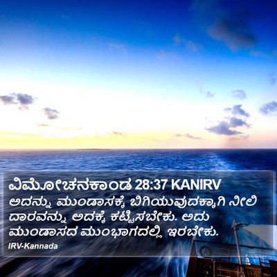 ವಿಮೋಚನಕಾಂಡ 28:37 KANIRV Bible Verse Image