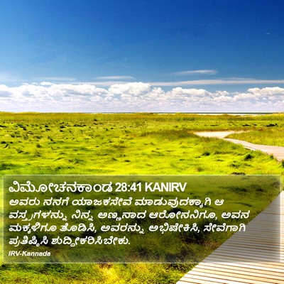 ವಿಮೋಚನಕಾಂಡ 28:41 KANIRV Bible Verse Image