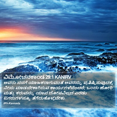 ವಿಮೋಚನಕಾಂಡ 29:1 KANIRV Bible Verse Image