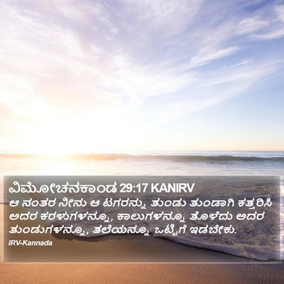 ವಿಮೋಚನಕಾಂಡ 29:17 KANIRV Bible Verse Image