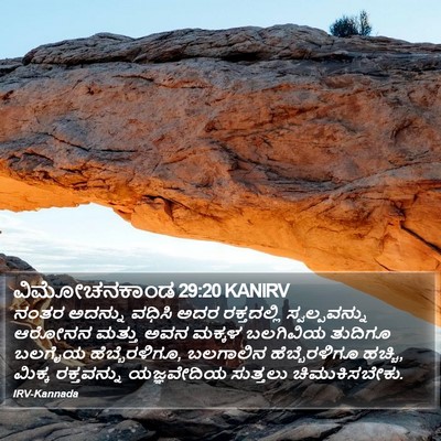 ವಿಮೋಚನಕಾಂಡ 29:20 KANIRV Bible Verse Image