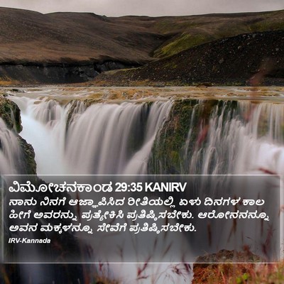 ವಿಮೋಚನಕಾಂಡ 29:35 KANIRV Bible Verse Image