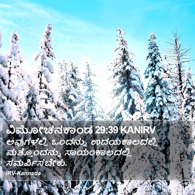 ವಿಮೋಚನಕಾಂಡ 29:39 KANIRV Bible Verse Image