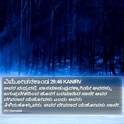 ವಿಮೋಚನಕಾಂಡ 29:46 KANIRV Bible Verse Image
