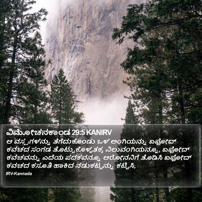 ವಿಮೋಚನಕಾಂಡ 29:5 KANIRV Bible Verse Image