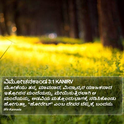 ವಿಮೋಚನಕಾಂಡ 3:1 KANIRV Bible Verse Image