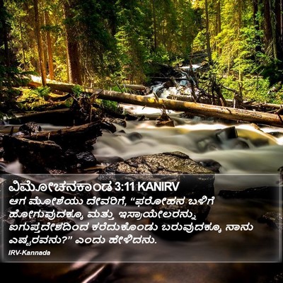 ವಿಮೋಚನಕಾಂಡ 3:11 KANIRV Bible Verse Image