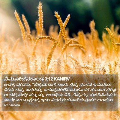 ವಿಮೋಚನಕಾಂಡ 3:12 KANIRV Bible Verse Image