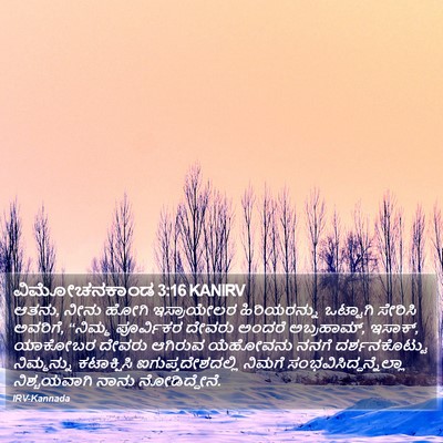 ವಿಮೋಚನಕಾಂಡ 3:16 KANIRV Bible Verse Image