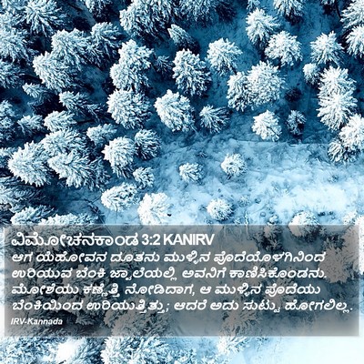 ವಿಮೋಚನಕಾಂಡ 3:2 KANIRV Bible Verse Image