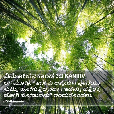 ವಿಮೋಚನಕಾಂಡ 3:3 KANIRV Bible Verse Image