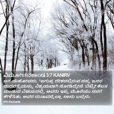 ವಿಮೋಚನಕಾಂಡ 3:7 KANIRV Bible Verse Image